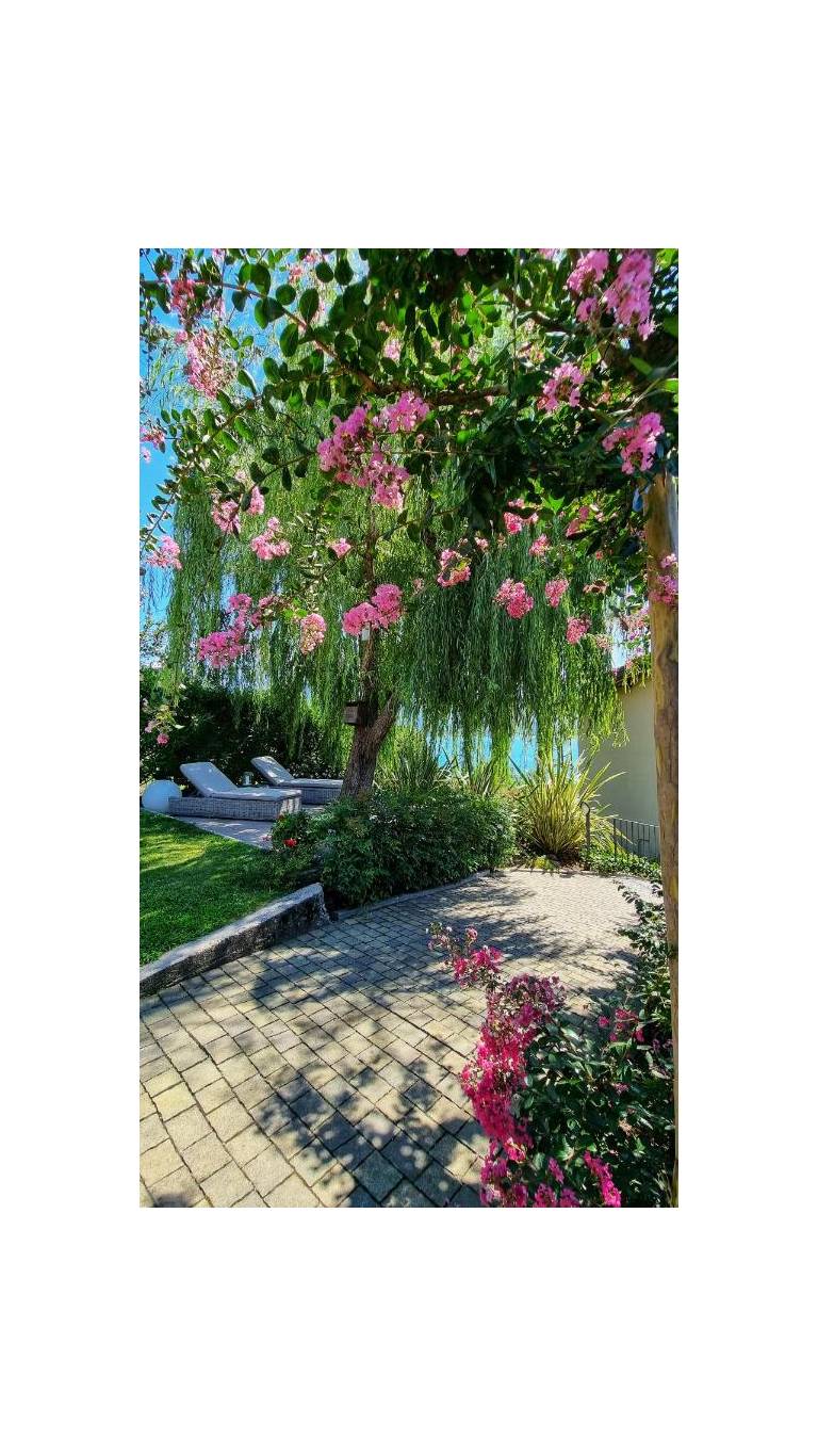 Il Giardino Di Lory 