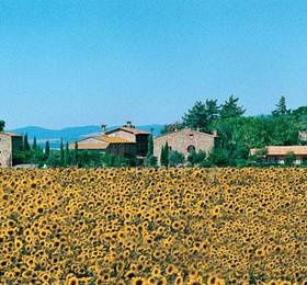 Agriturismo Il Pino в Скарлино