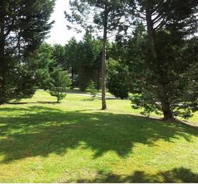 Camping Playa Joyel  в Нохе