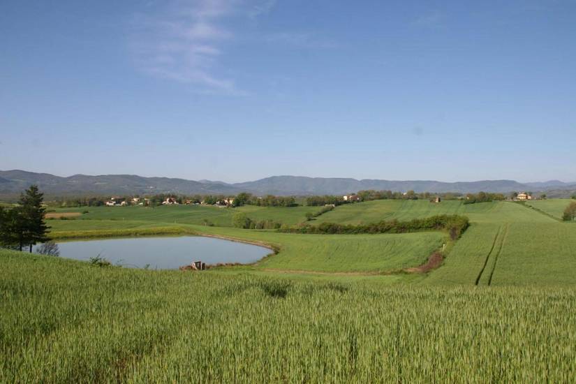 Il Nido di Gabbiano Италия, Скарперия