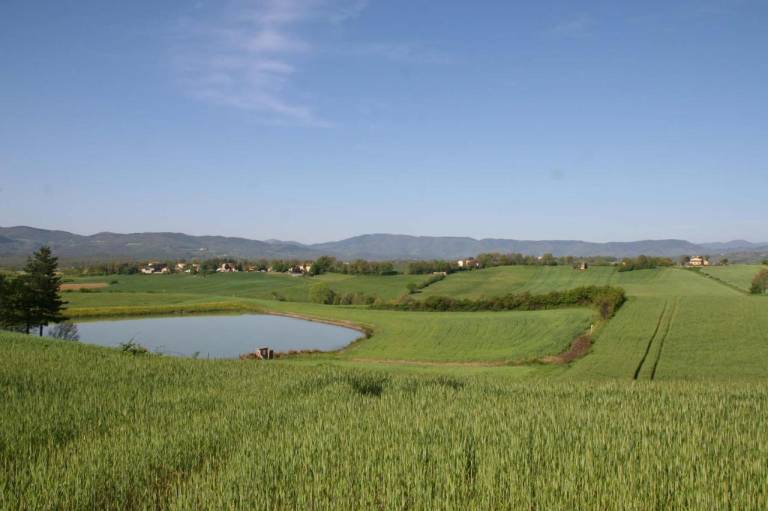 Il Nido di Gabbiano