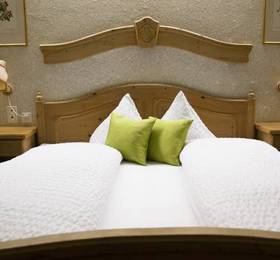 Туры в Hotel Alpina Zernez  в Швейцарии