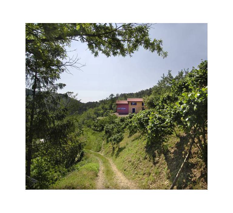 Agriturismo 5 Terre 