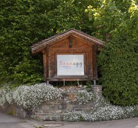 Отдых в Sonnegg Hotel Garni - Швейцария, Цвайзиммен