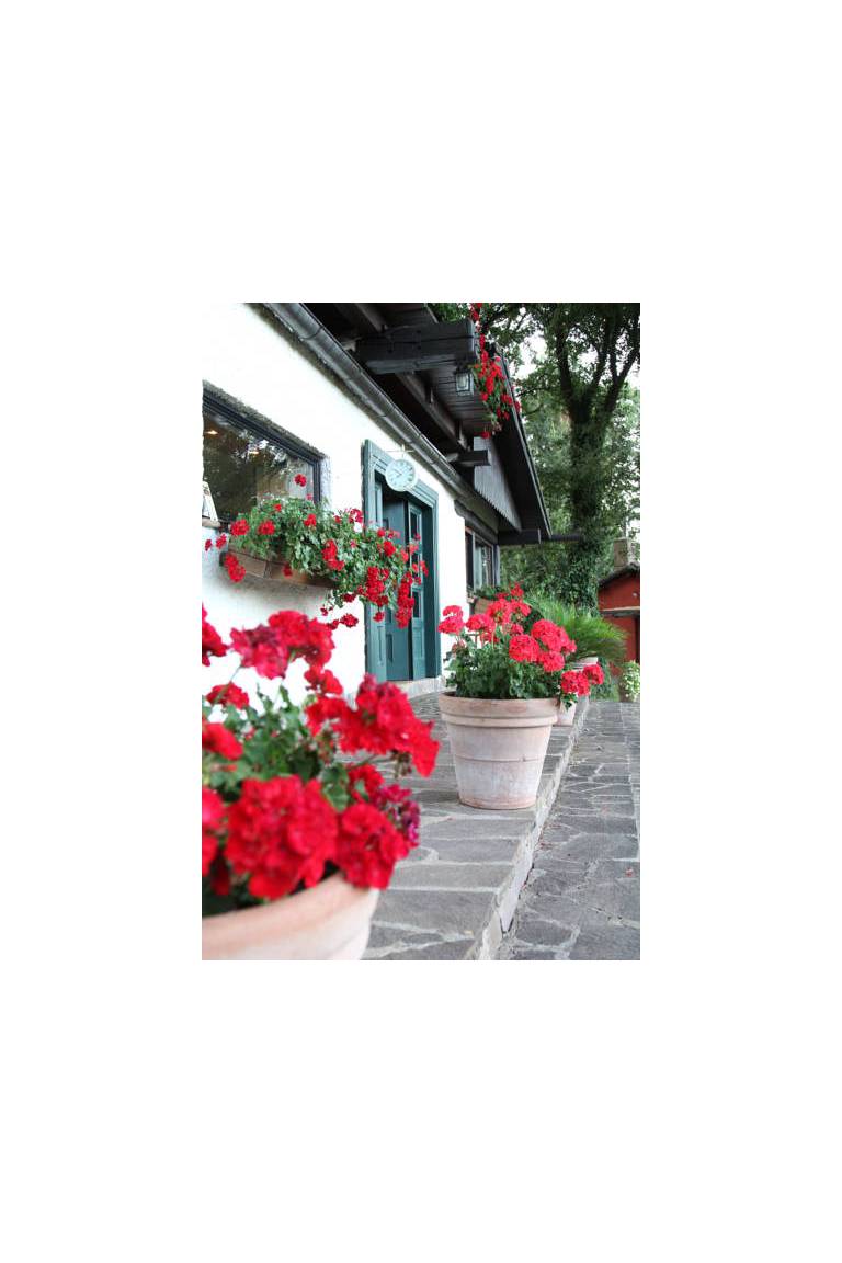 B&B Cottage Roberta 