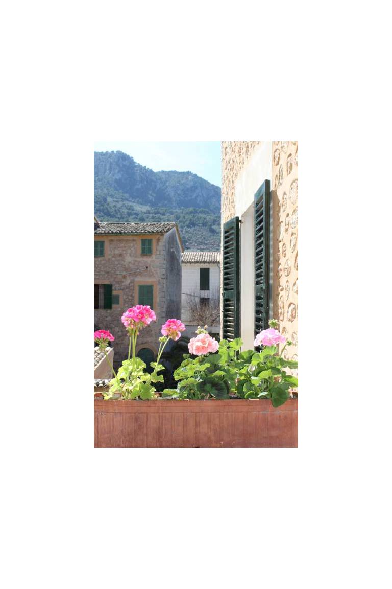 Casa Bougainvillea 