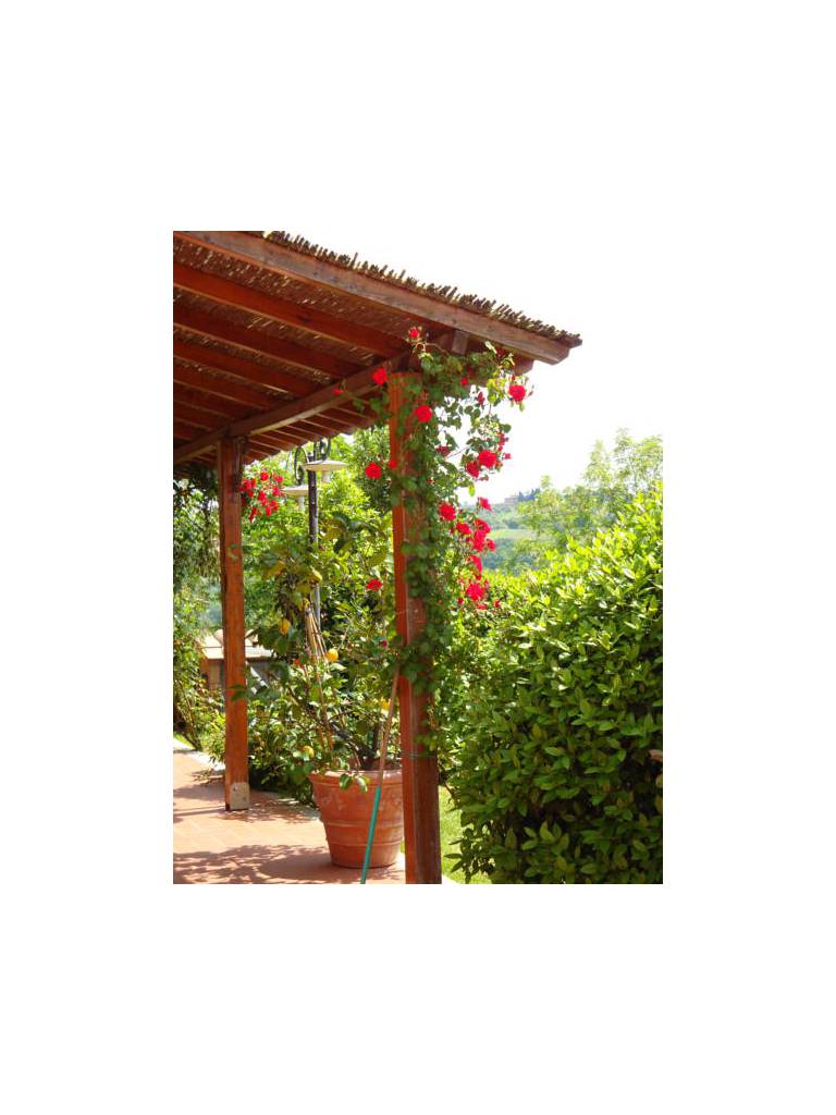 Podere Villa Bassa 