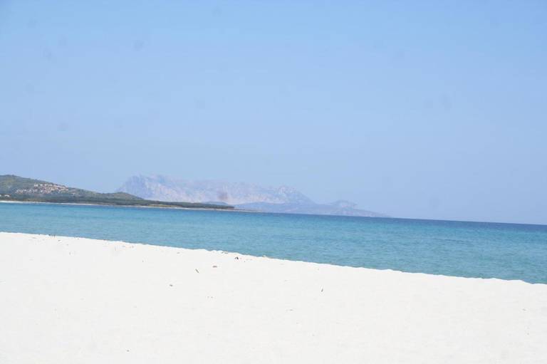 Residence Sa Playa 