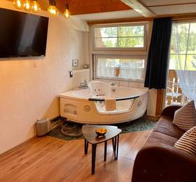 Туры в Chalet Hotel Adler в Швейцарии