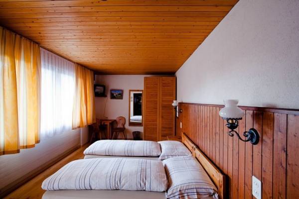 Hotel Fiescherhof  3* Швейцария, Фиш