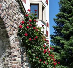 Schloss Paschbach  в Аппиано-Сулла-Страда-дель-Вино