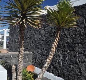Туры в Villa Vista Costa  в Испании