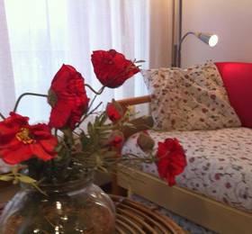 Отдых в Residence Geranio - Италия, Домазо