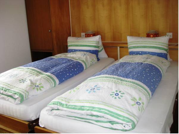 Hotel Adler Garni  Швейцария, Цернец