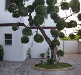 Отдых в B&B Le Coccinelle  - Италия, Кастеллана-Гротте