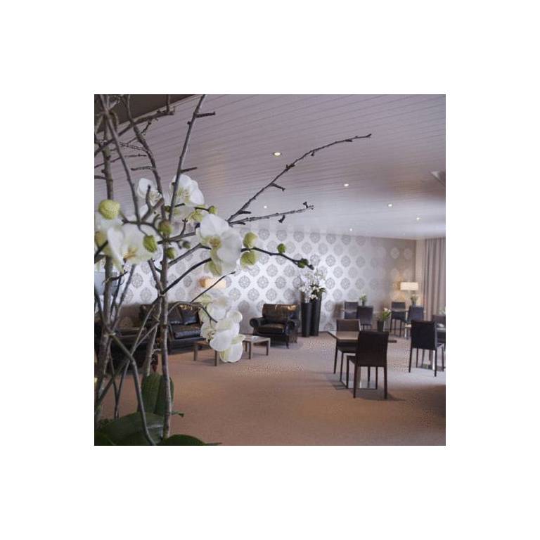 Hotel Allegra sur 