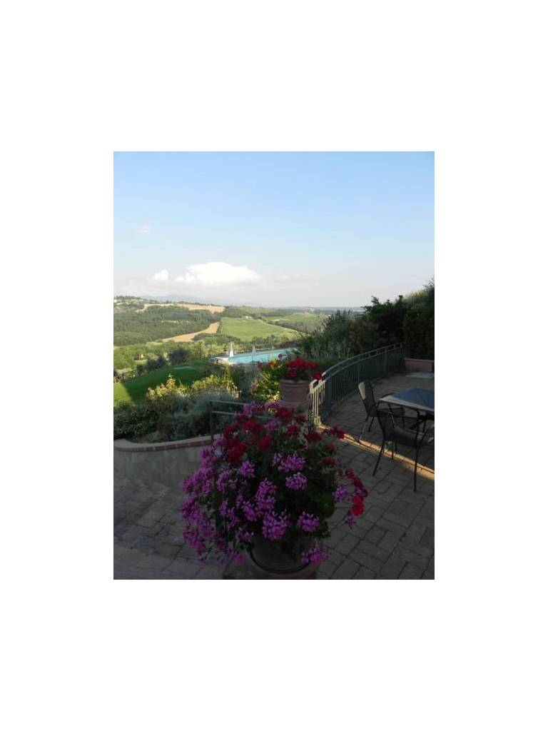Tenuta Pizzogallo 