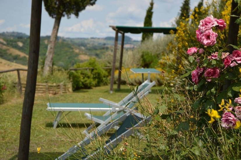 Podere Benintendi Италия, Чертальдо