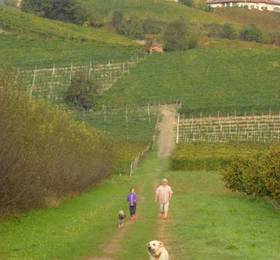 Cascina Ballarin  в Ла Морре
