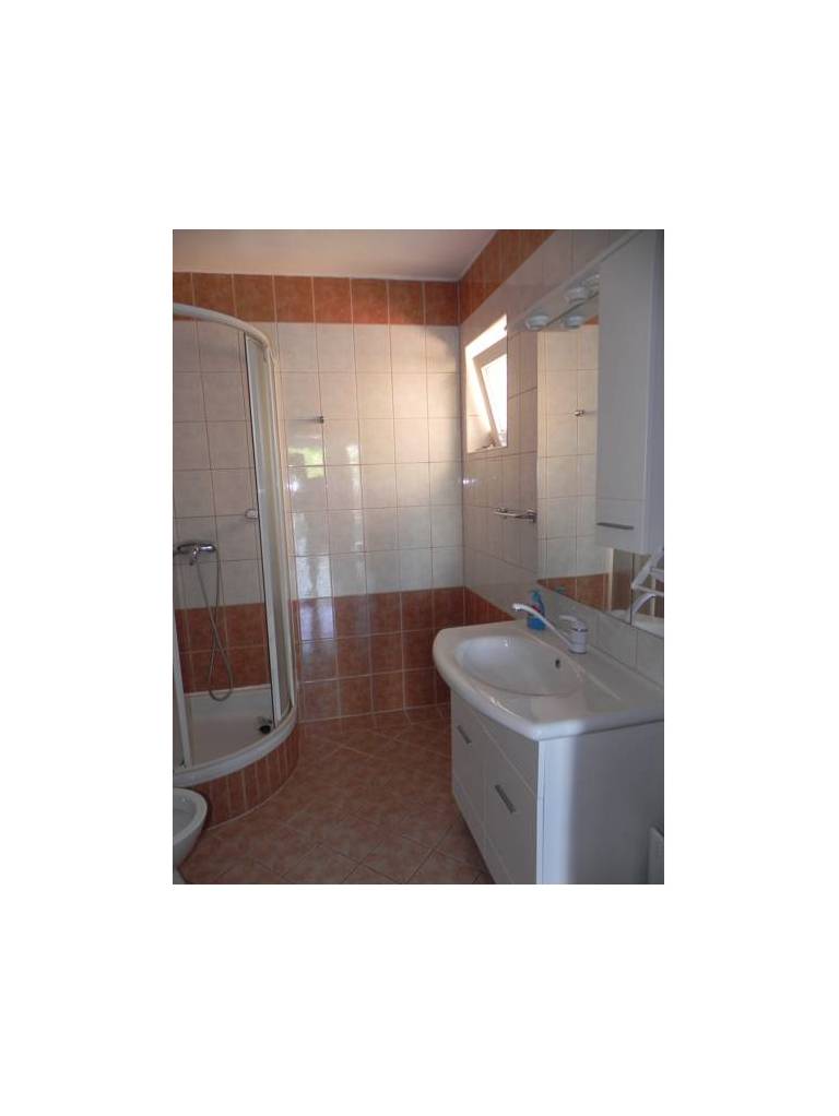 Apartments Bisic 