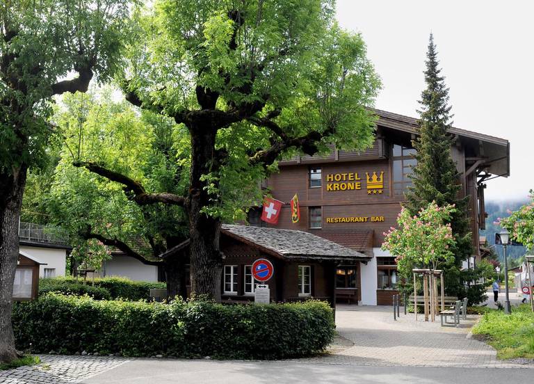 Hotel Krone Lenk 