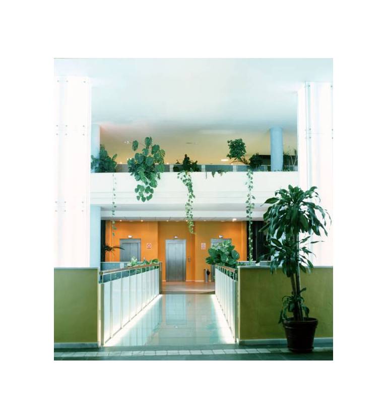 Aparthotel Reina 