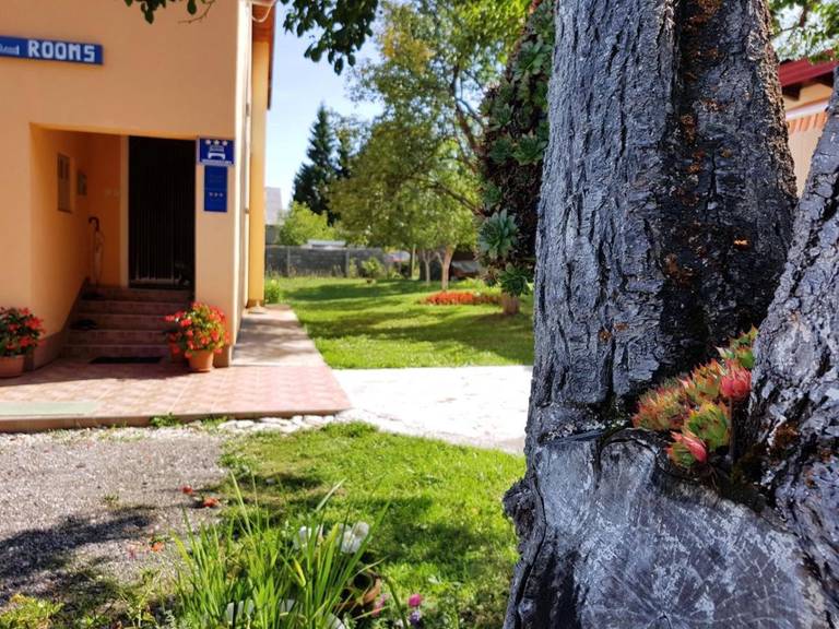 Guest House Toic 