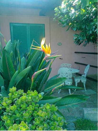 Casa Seralba B&B  Италия, Искья