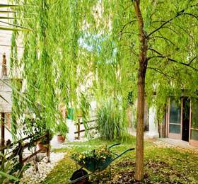 Отдых в La Casa Sul Lago  - Италия, Маджоне