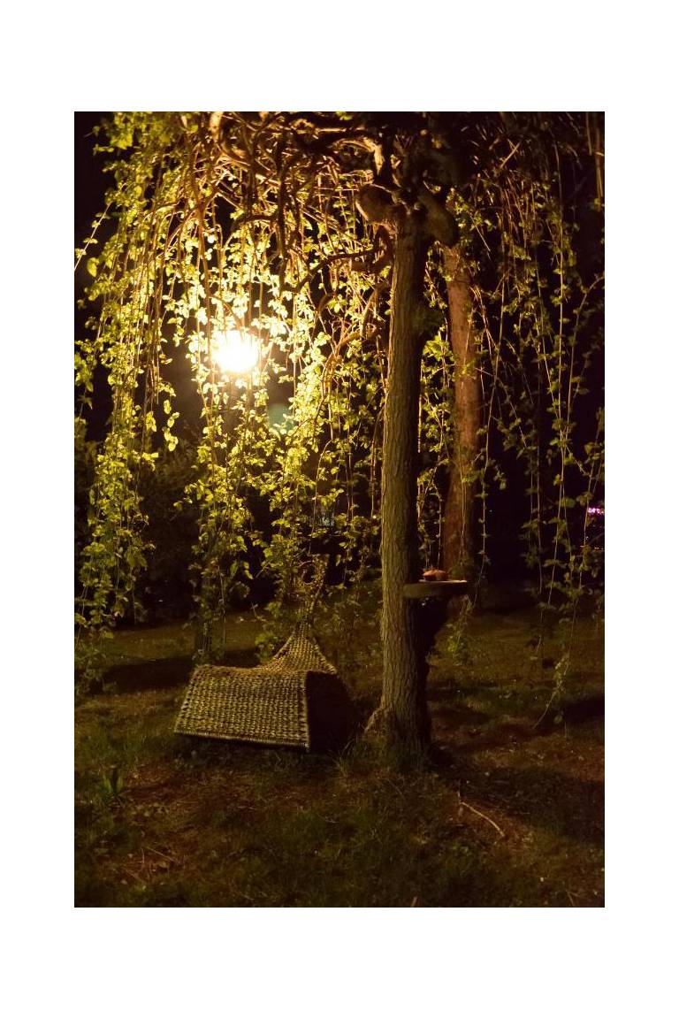 Villa Irene B&B 
