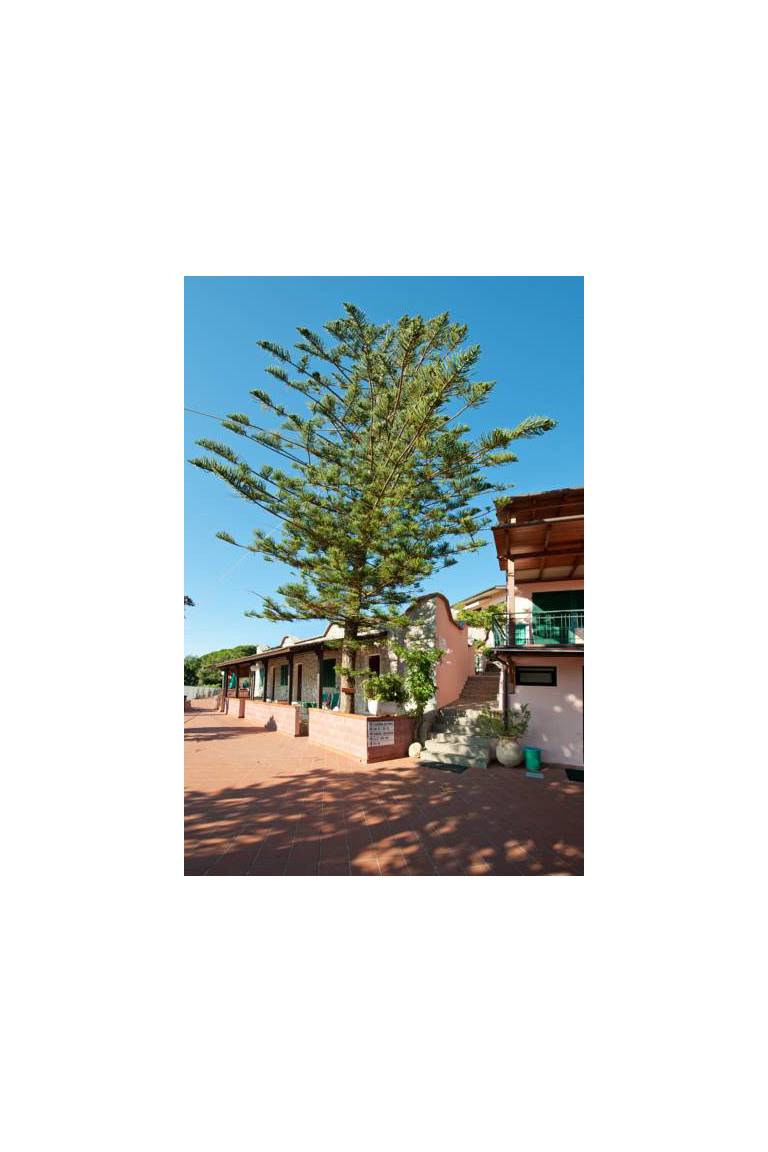 Hotel Casa Rosa 