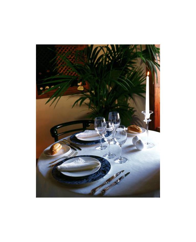 Hotel San Roque