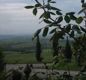 Podere Assolati  в Кастель-дель-Пьяно