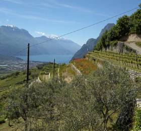 Отдых в Agritur Calvola  - Италия, Тенно