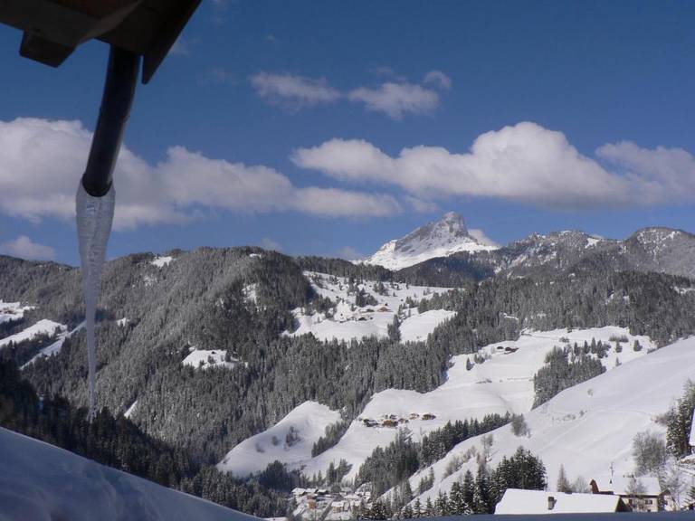 Hotel Alpenrose 