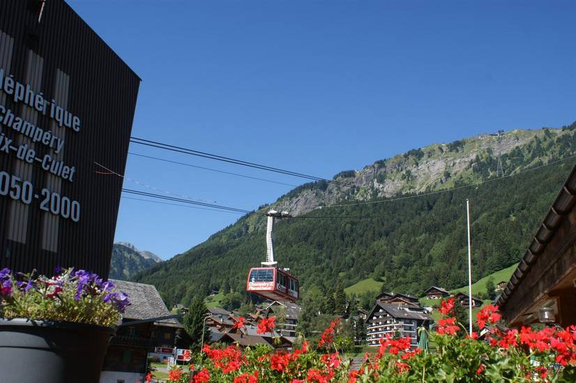 Hotel Des Alpes Швейцария, Шампери