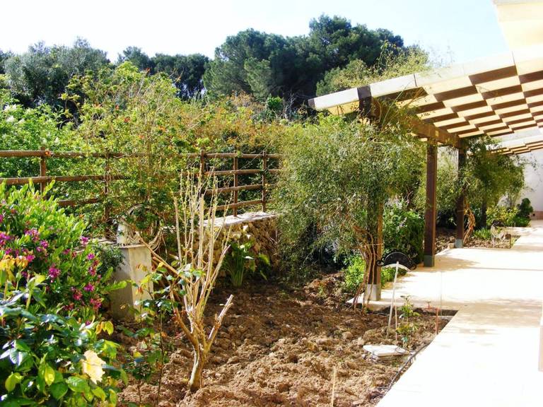 Brezza D'Estate 