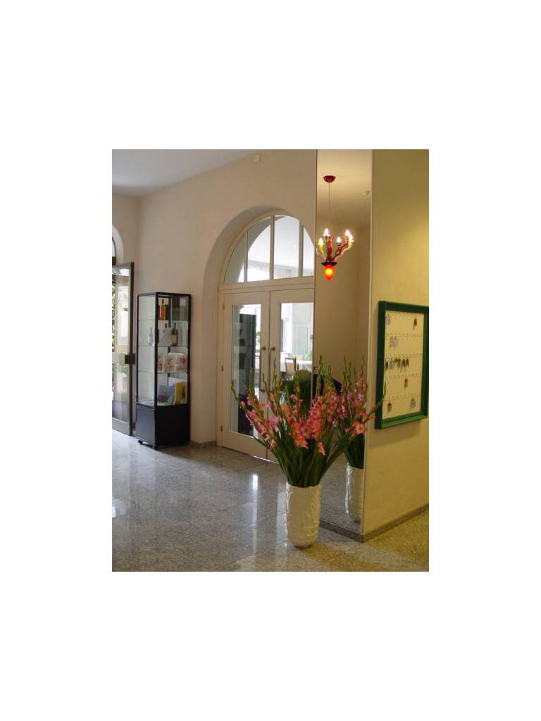 Albergo Camelia 
