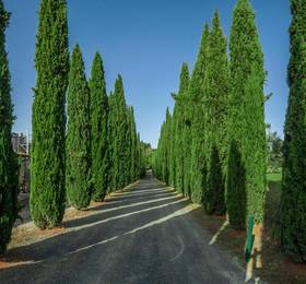 Tenuta Moriano в Монтеспертоли