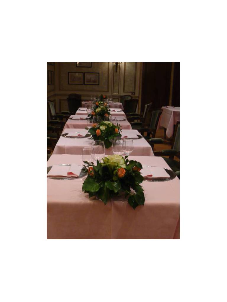 Hotel Al Camin 