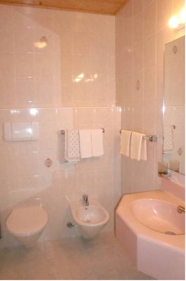 Hotel Viktoria  3* Италия, Кастельротто