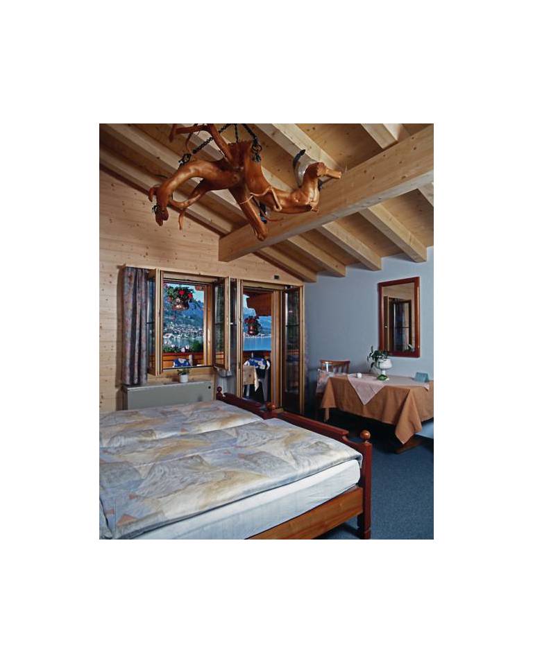 Hotel Wildbach 