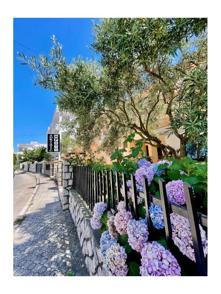 Rooms Adriatic 