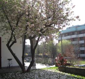 Villa Bellusci  в Ро