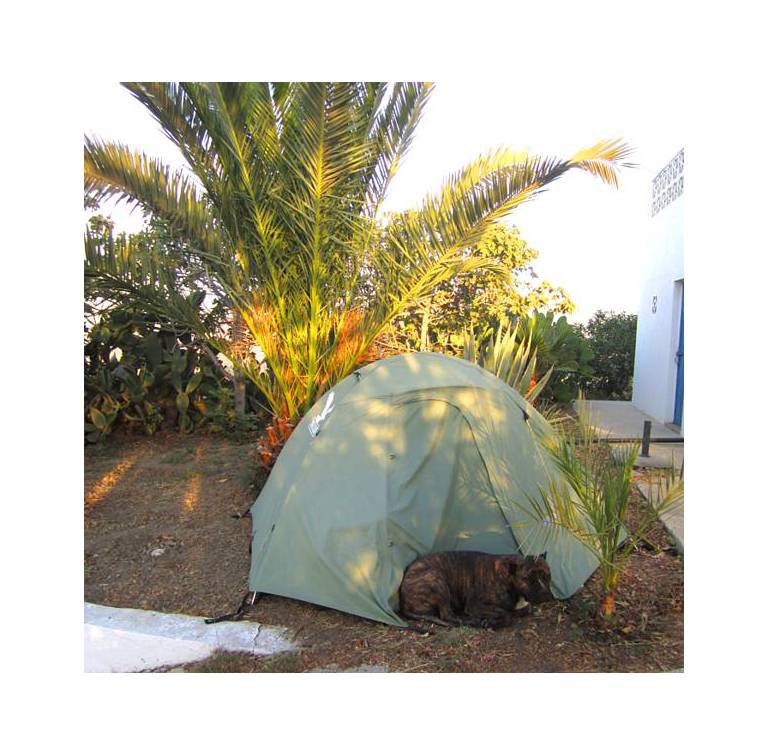 Finca Budista 