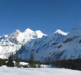 Chalet Lauber в Фрутигене