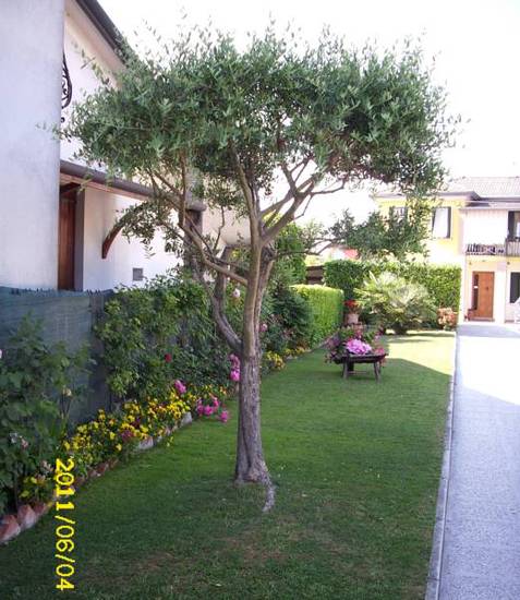 Alloggi Marin  3* Италия, Мира