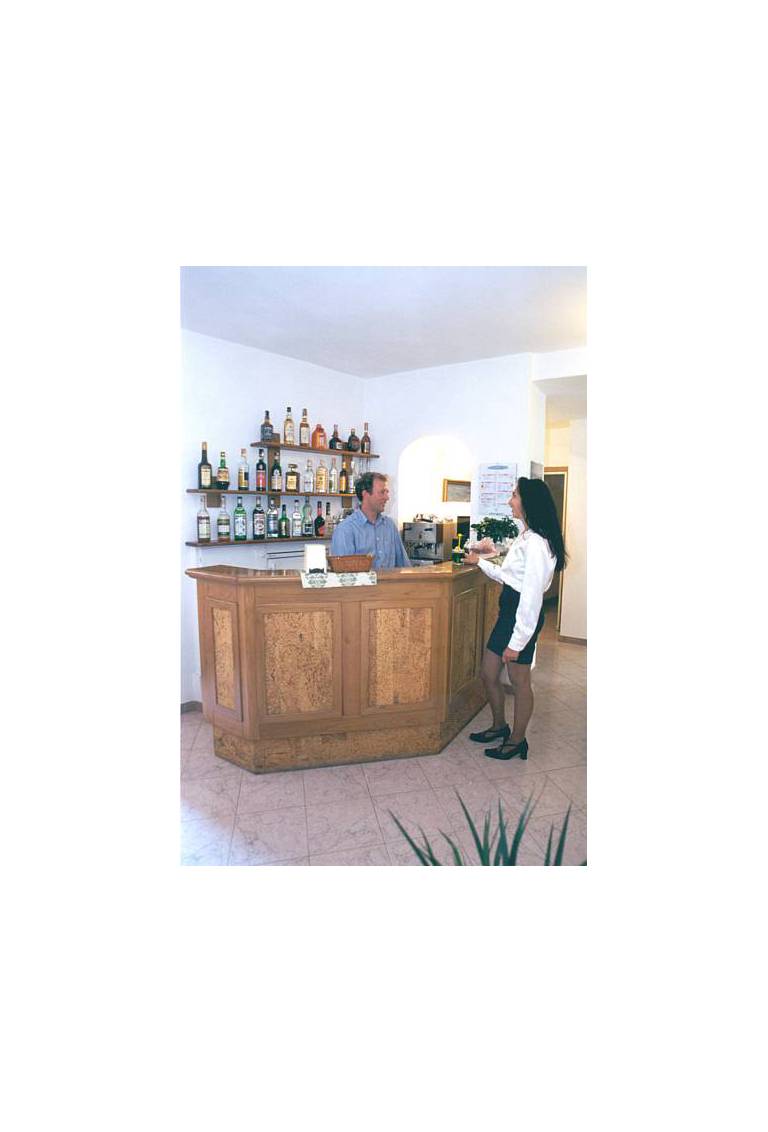 Hotel Anselmi 