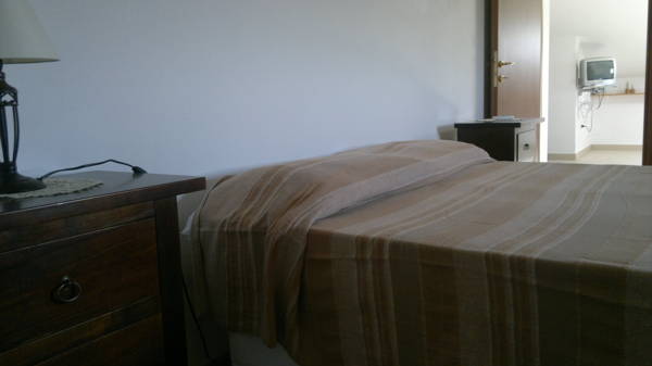 Palmas Dorada 
