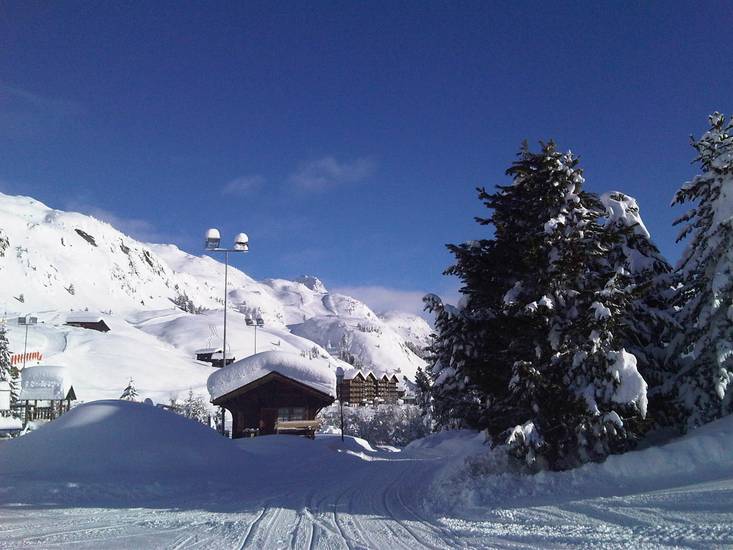 Chalet Grazia 3* Швейцария, Ридеральп